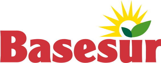 Basesur
